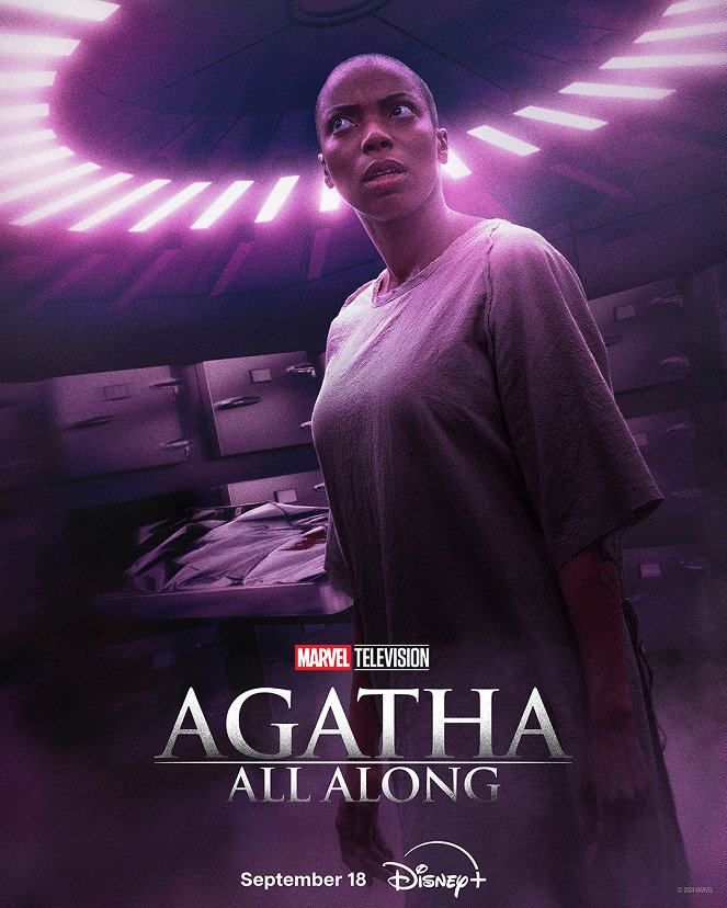 Agatha All Along - Affiches