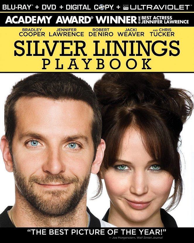 Terapie láskou / Silver Linings Playbook (2012)
