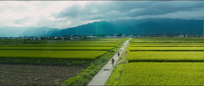 Teach Cabbage Teaching Promised Land Videa Letodom Com