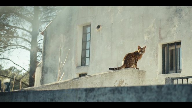 Bande-annonce