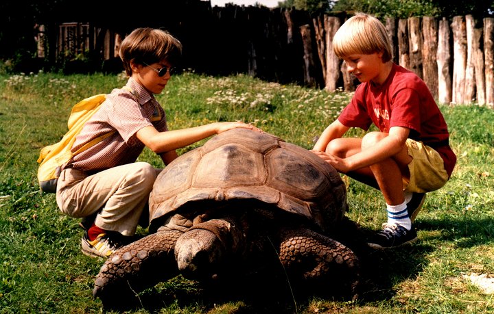 Potkal jsem ho v zoo