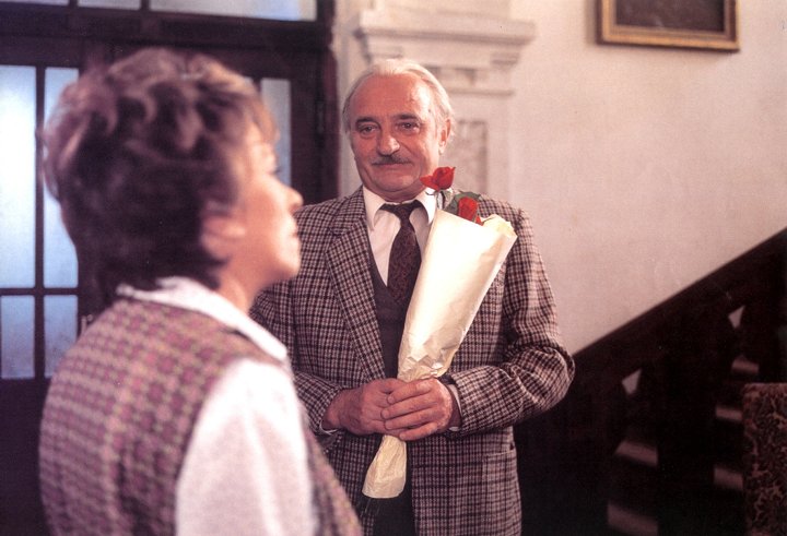 Jedna kočka za druhou