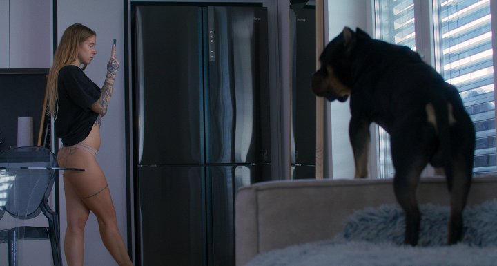 Virtuální přítelkyně