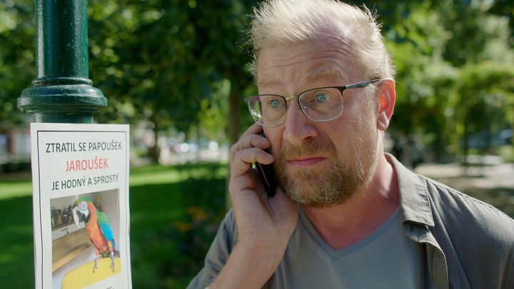 Někdo to rád v Plzni 2D/D