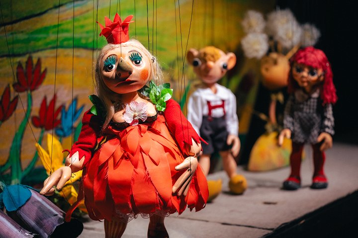 Hurvínkova cesta do Tramtárie 2D/D