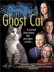 Ghost Cat