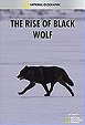 Das Geheimnis des schwarzen Wolfs