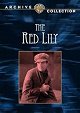 The Red Lily