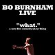 Bo Burnham: what.