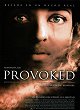 Provoked: A True Story