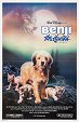 Benji på äventyr