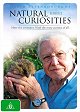 David Attenborough's Natural Curiosities