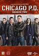 Chicago P.D. - Isien synnit