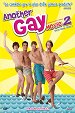 Another Gay Sequel : Gays Gone Wild !