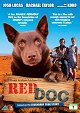 Red Dog