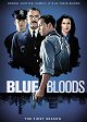 Blue Bloods - Crime Scene New York - Little Fish