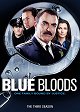Blue Bloods - Crime Scene New York - Family Business
