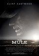 The Mule