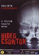 Hideg csontok