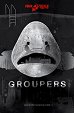 Groupers