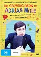 Secret Diary of Adrian Mole Aged 13 3/4, The