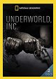 Underworld Inc. - Ghost Guns