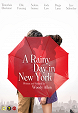 A Rainy Day in New York