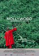 Nollywood - Filmbusiness African Style