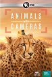 Animals With Cameras - Episode 1