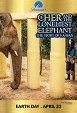 Cher a nejosamělejší slon na světě