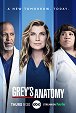 Grey's Anatomy - Season 18