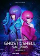 Ghost in the Shell: SAC_2045