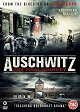 Auschwitz: The Last Journey