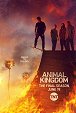 Animal Kingdom - Covet