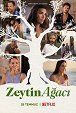 Zeytin Ağacı - Season 2