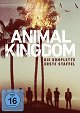 Animal Kingdom - Der große Coup