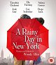 A Rainy Day in New York