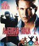 American Ninja 2: The Confrontation