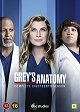 Greyn anatomia - Season 18