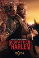 Godfather of Harlem - Captain Fields