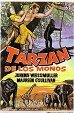 Tarzán de los monos