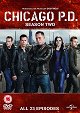 Policie Chicago - They'll Have to Go Through Me