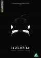 Blackfish