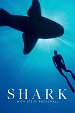 Žralok se Stevem Backshallem - Žraloci severního Atlantiku