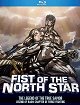 Fist of the North Star: Raoh Side Story Fierce Fighting Arc