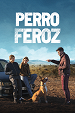 Perro feroz