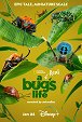 A Real Bug's Life - Episode 4