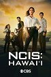 NCIS: Hawai'i - Switchback