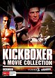 Kickboxer II: The Road Back