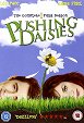 Pushing Daisies